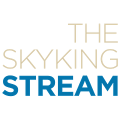 Skyking2020