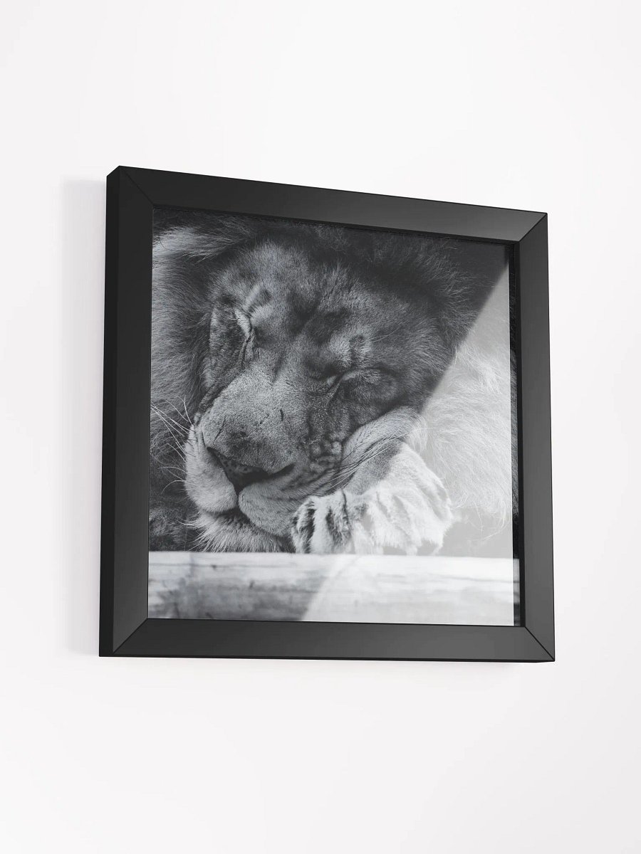 The Sleeping King product image (21)
