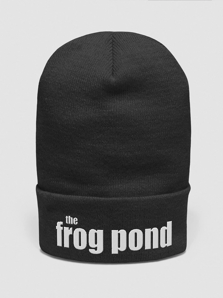 The Frog Pond Beanie product image (1)