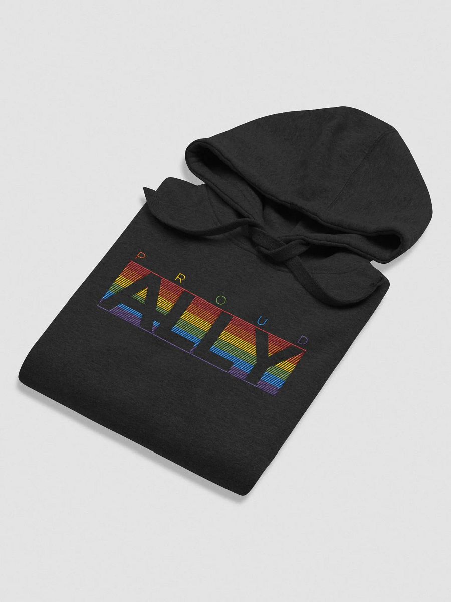PROUD ALLY Premium Hoodie product image (35)