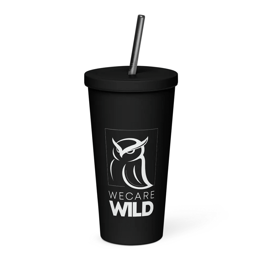 Insulated Tumbler product image (1)