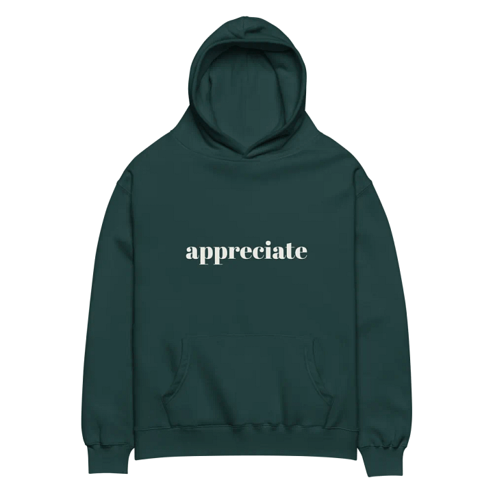 Unisex Premium Oversized Hoodie product image (1)