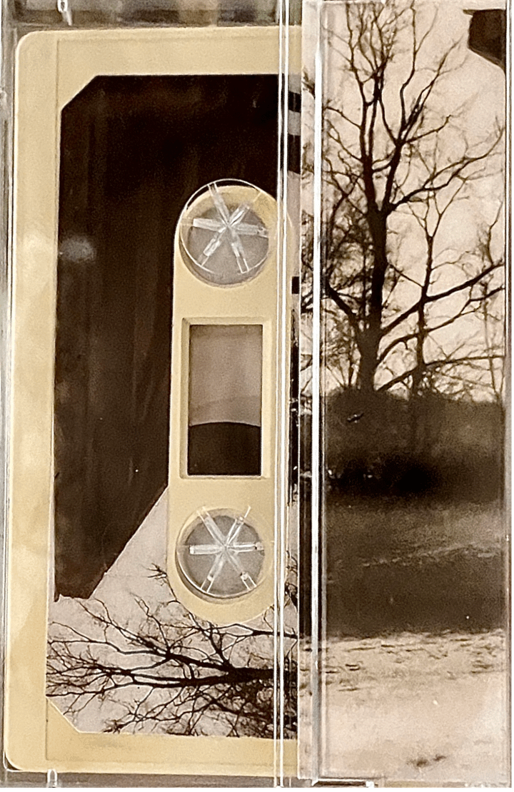 Dead, Dead Swans - Lenses [Cassette] product image (2)