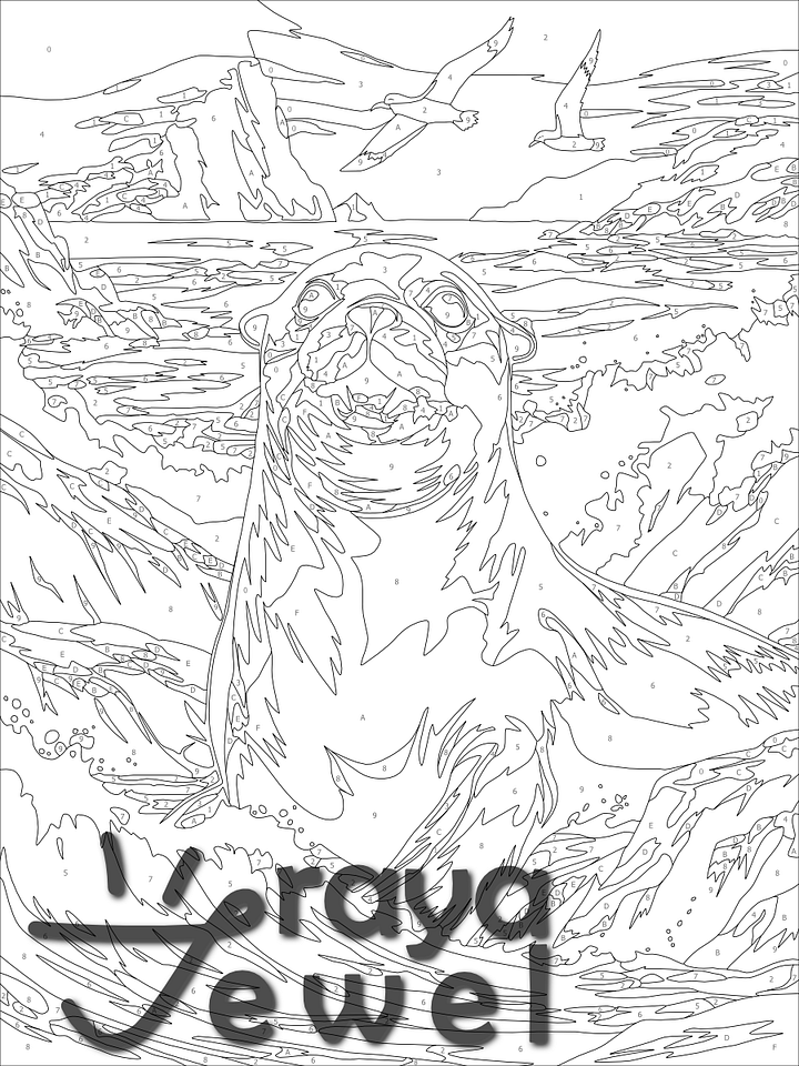 Seal! Color by Number Coloring Page product image (2)