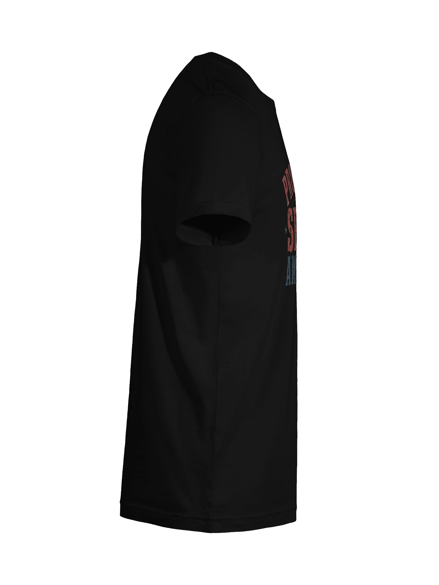 Second Amendment T-Shirt product image (12)