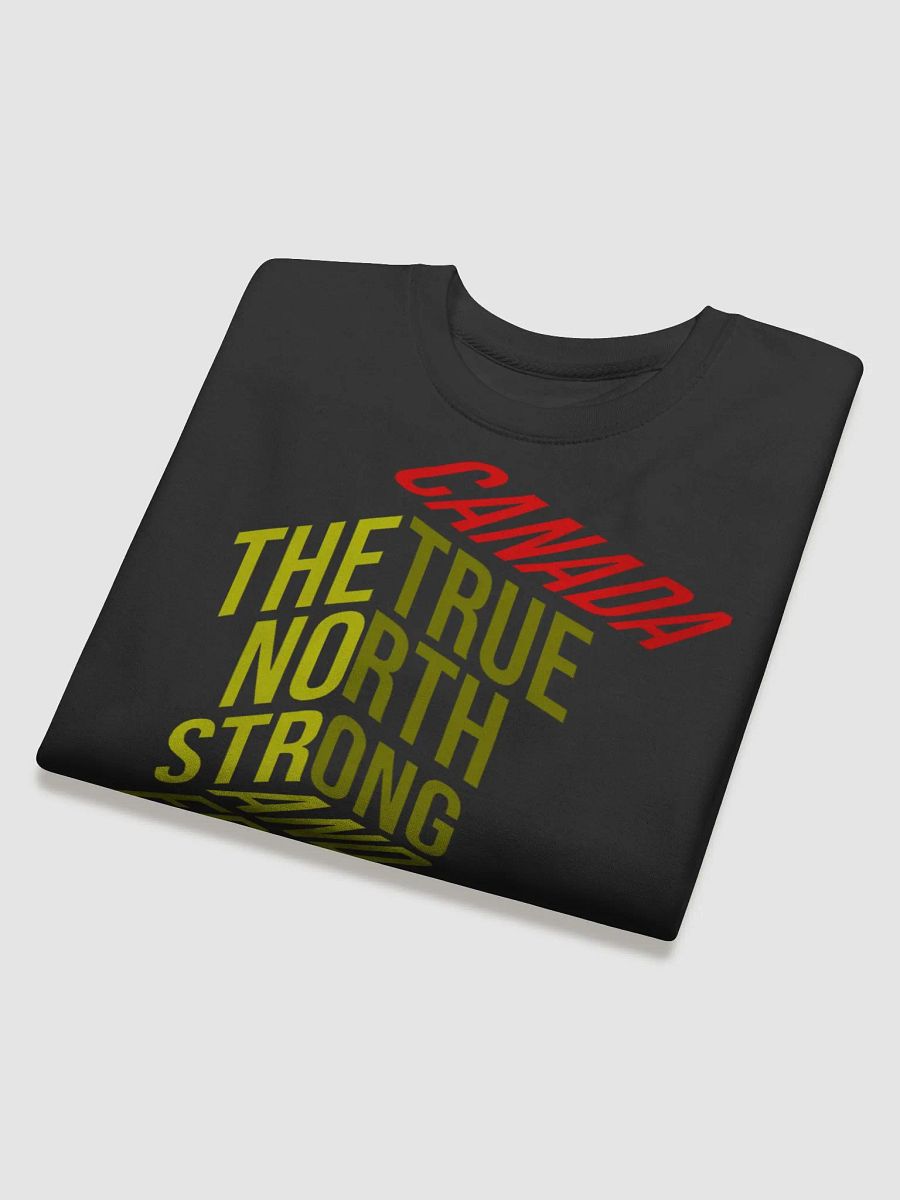 True North 3D Sweatshirt product image (4)