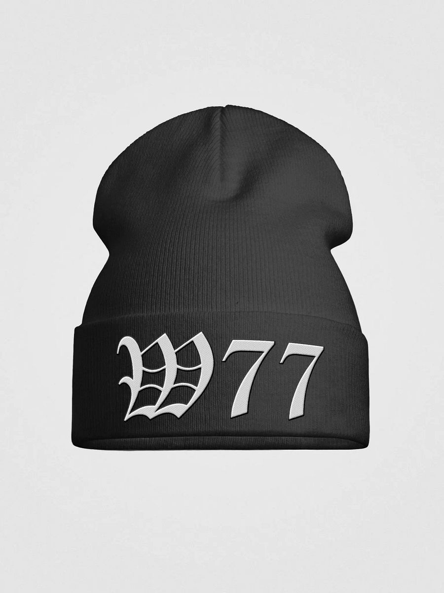 W77 Otto Knit Beanie product image (3)