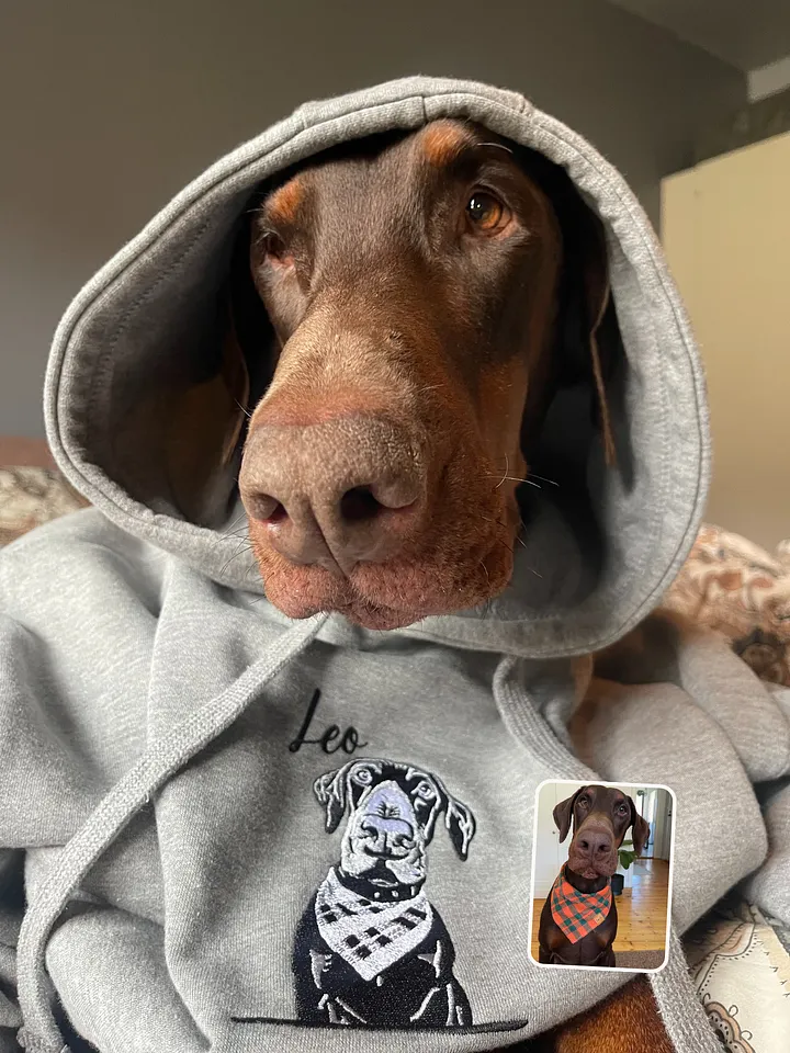 DOBERMANNLEO💙 / EMBROIDERED HOODIE product image (2)