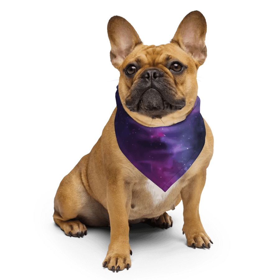PassingFist Bandana product image (6)
