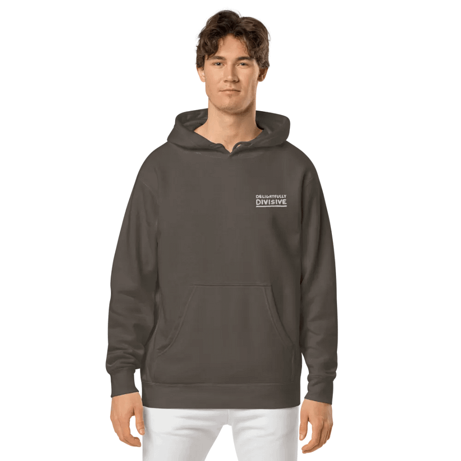 DELIGHTFULLY DIVISIVE (L.C., white design) embroidered pigment hoodie product image (14)