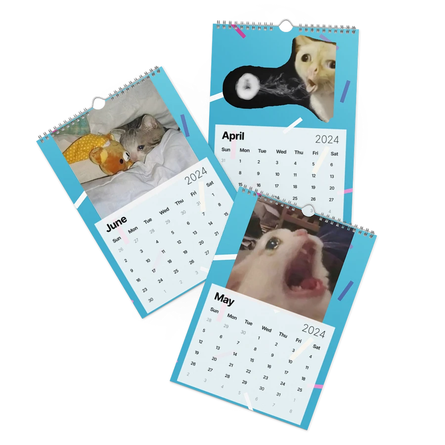 Wall Calendar (2024): Meme Cats product image (3)