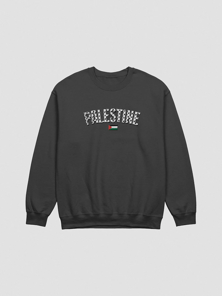 Palestine Sweater- Embroidered product image (1)