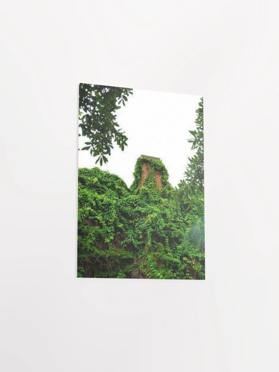Plant Over-Growth product image (29)