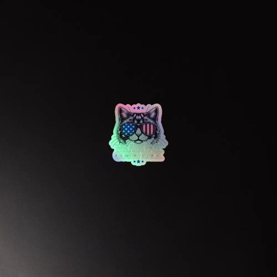 US Election Day 2024 We Are Not Going Back Cat America Flag Sticker product image (2)