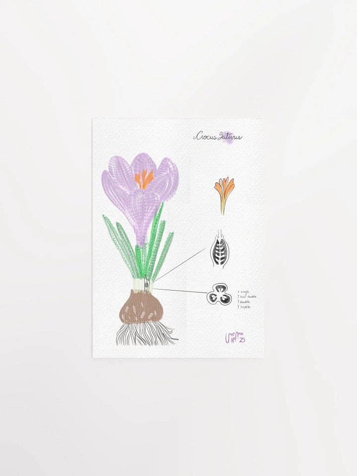 Crochet Vision: Crocus Print product image (2)