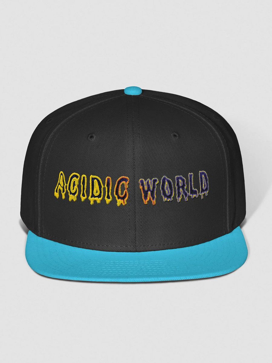 AW Snap Back product image (4)