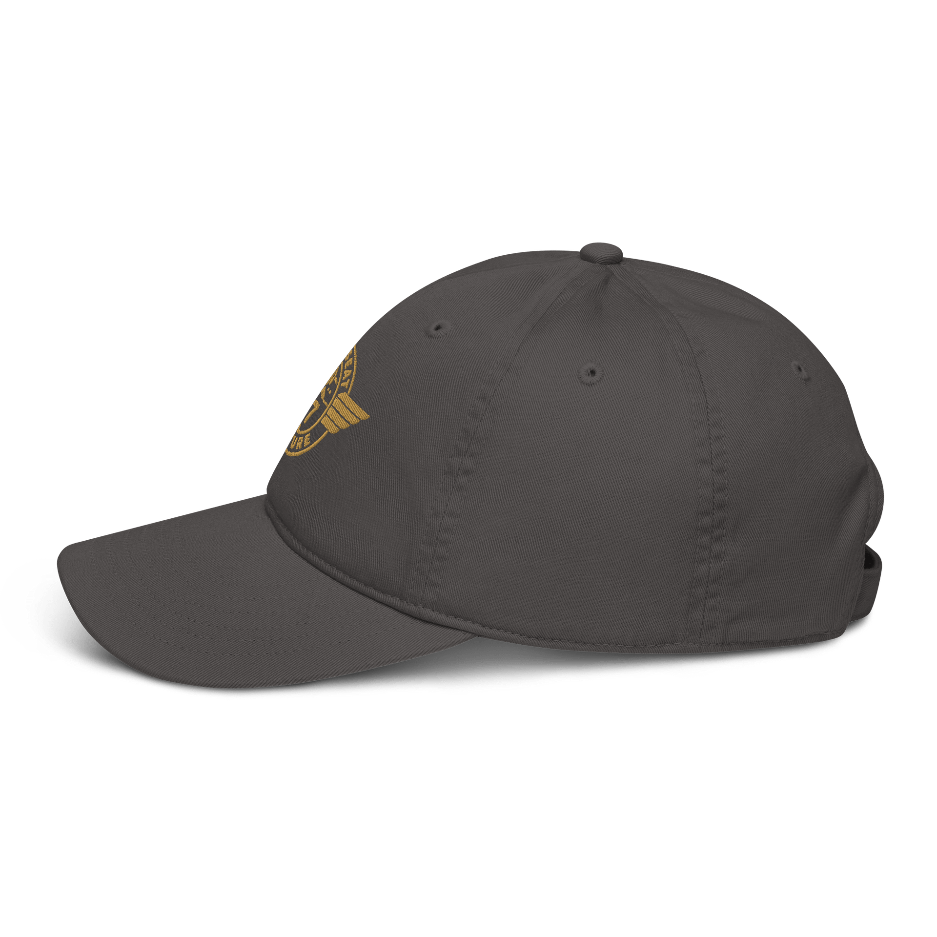 Left Seat Culture Cap - Grey / Gold product image (3)