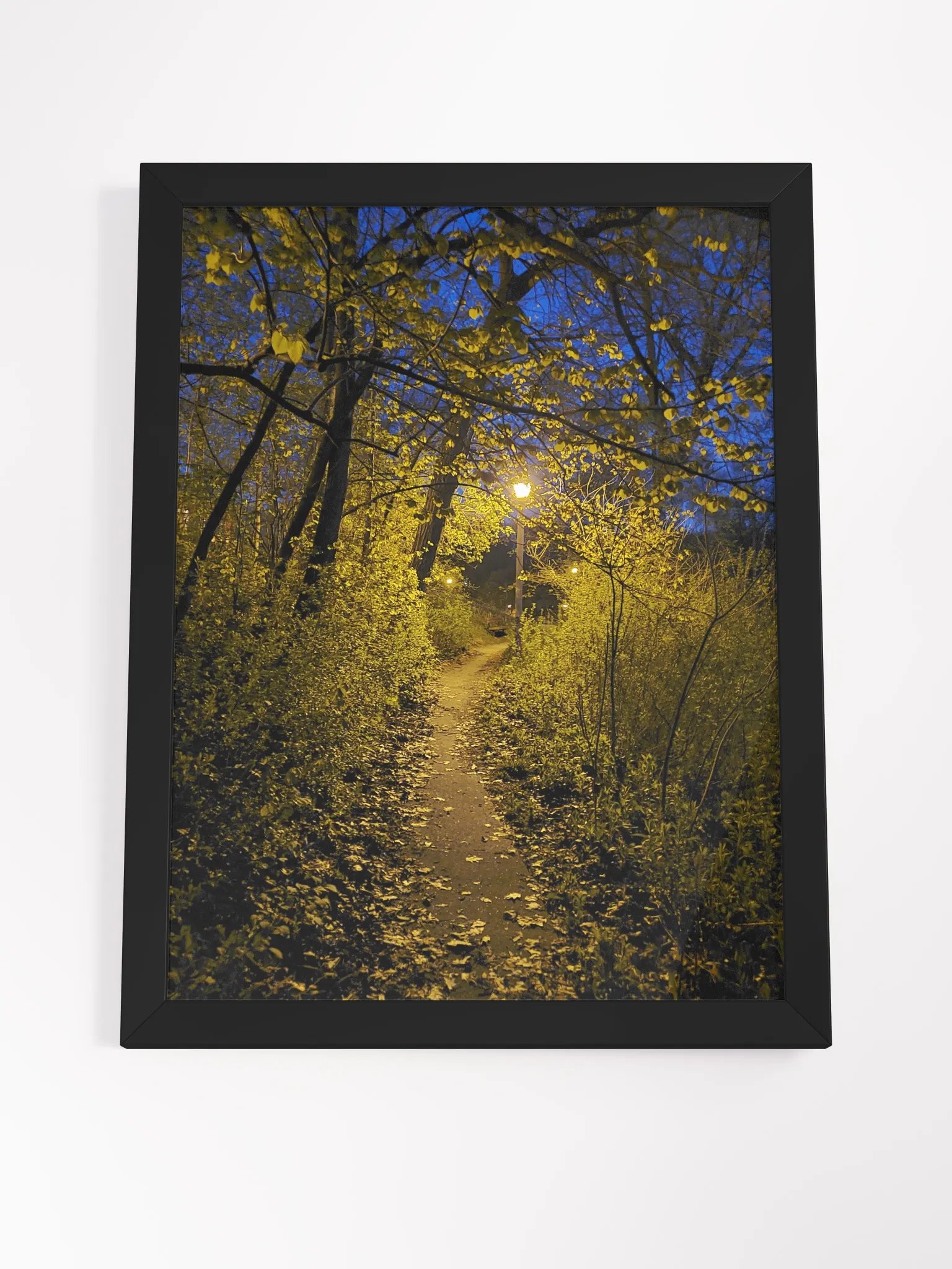 Golden Pathway Serenity Framed Poster product image (4)