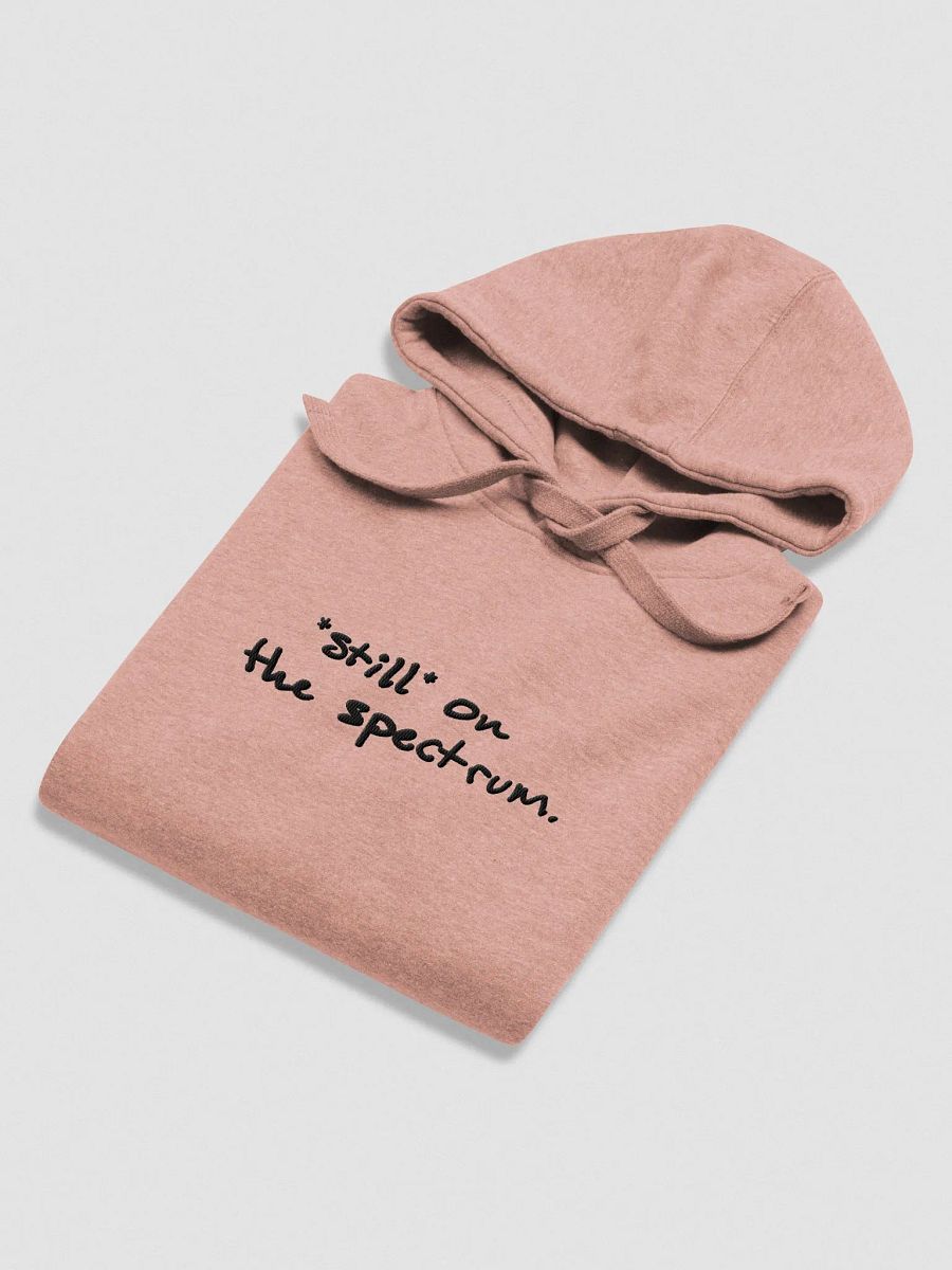 *still* on the spectrum embroidered heavyweight hoodie product image (4)