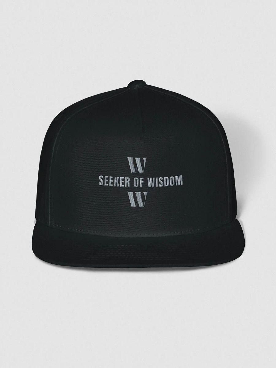 Seeker Snap Back Hat product image (3)