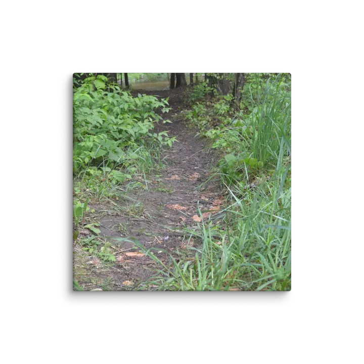 On the Empire Bluff Trail Canvas product image (1)