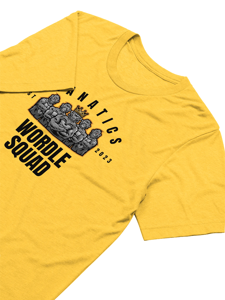 Seanatics Wordle Squad Tri-blend T-Shirt product image (2)