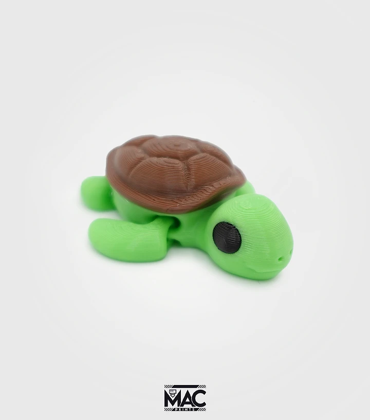 Baby Turtle product image (1)