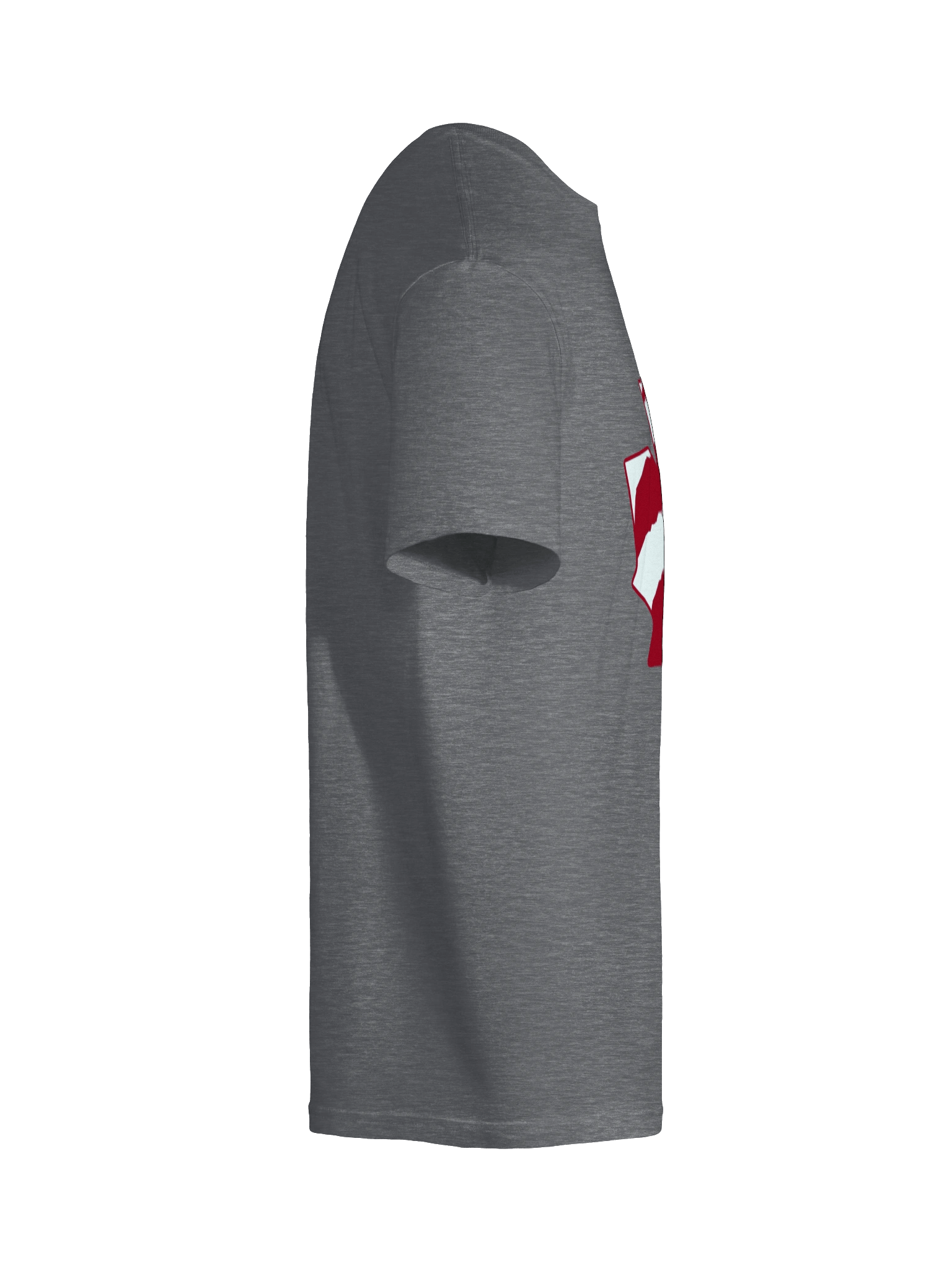 Toronto Dinos product image (9)