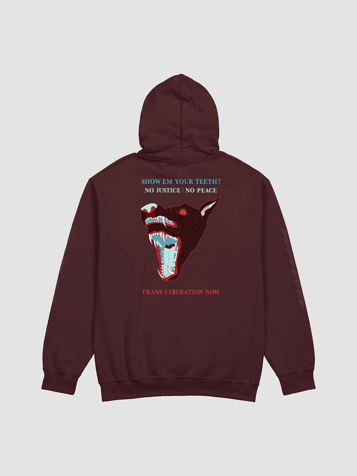 Show Em hoodie 1 product image (2)