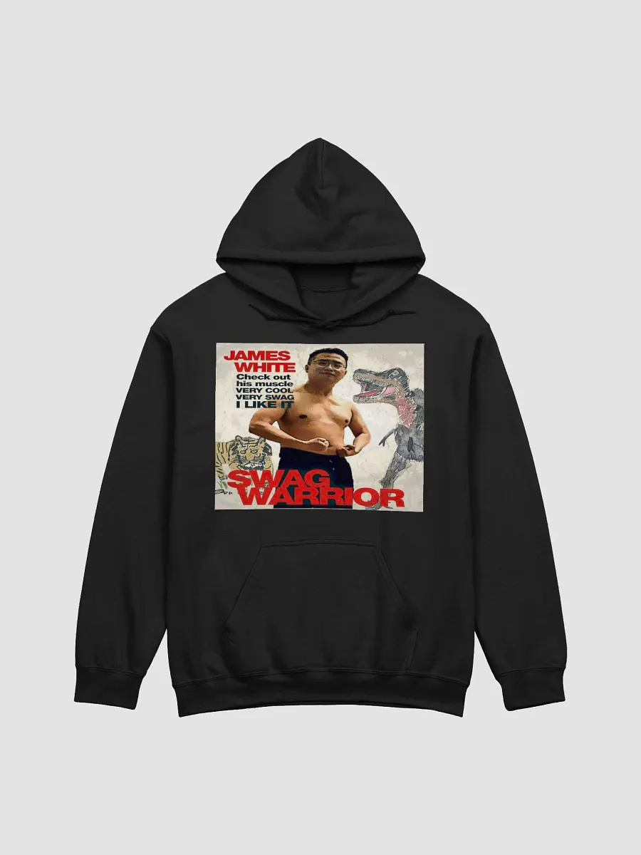 Gildan Classic Hoodie: swag warrior product image (4)