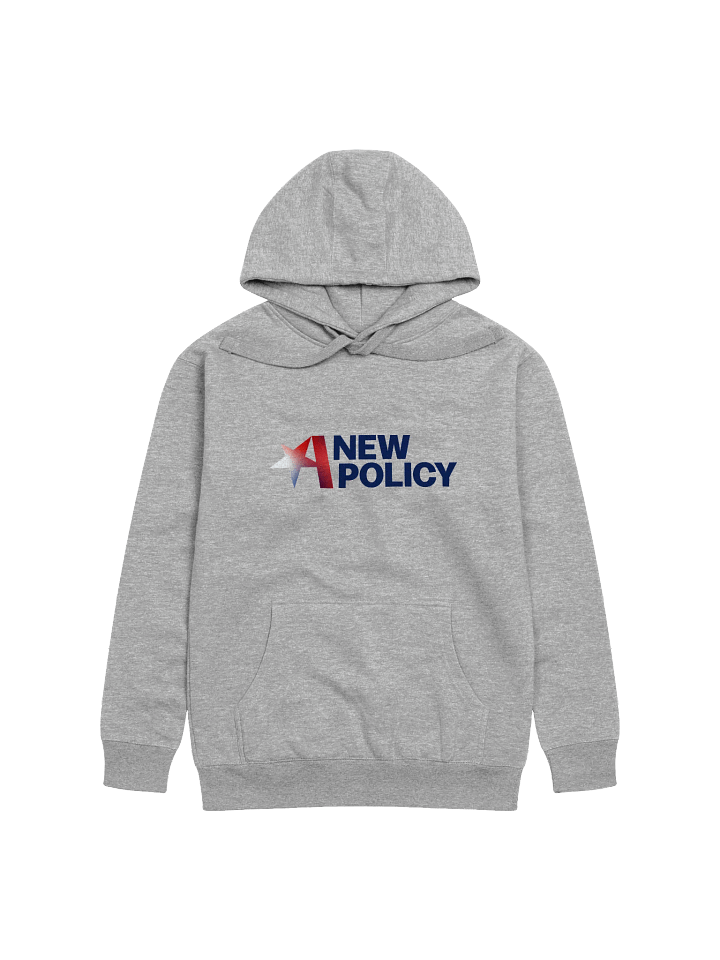 A New Policy Pullover Hoodie - WOMEN product image (3)