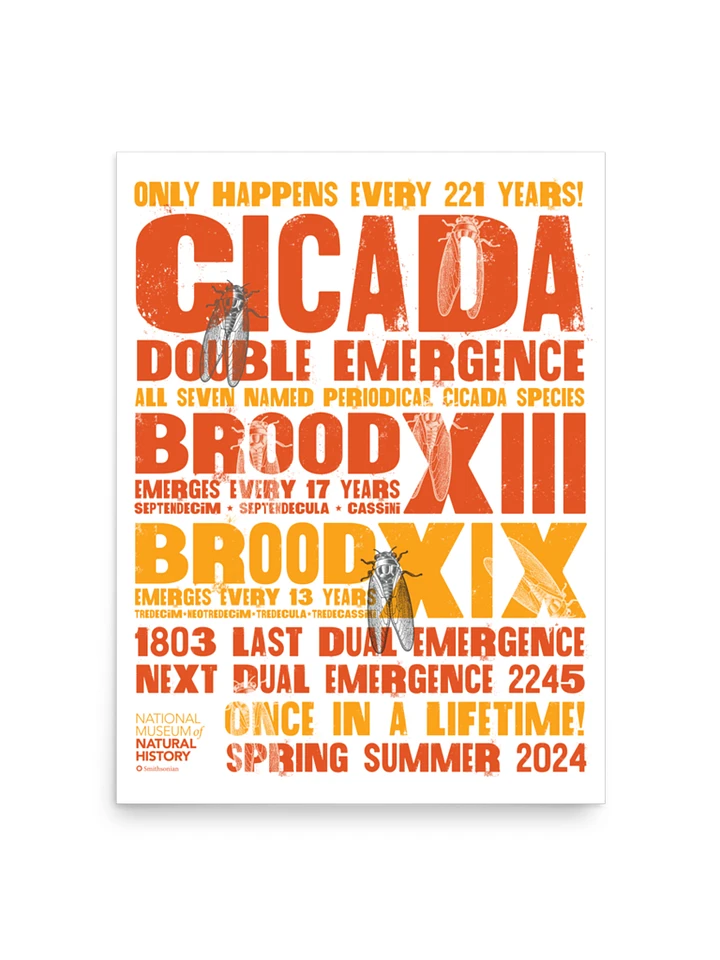 Cicada Double Emergence Poster product image (1)