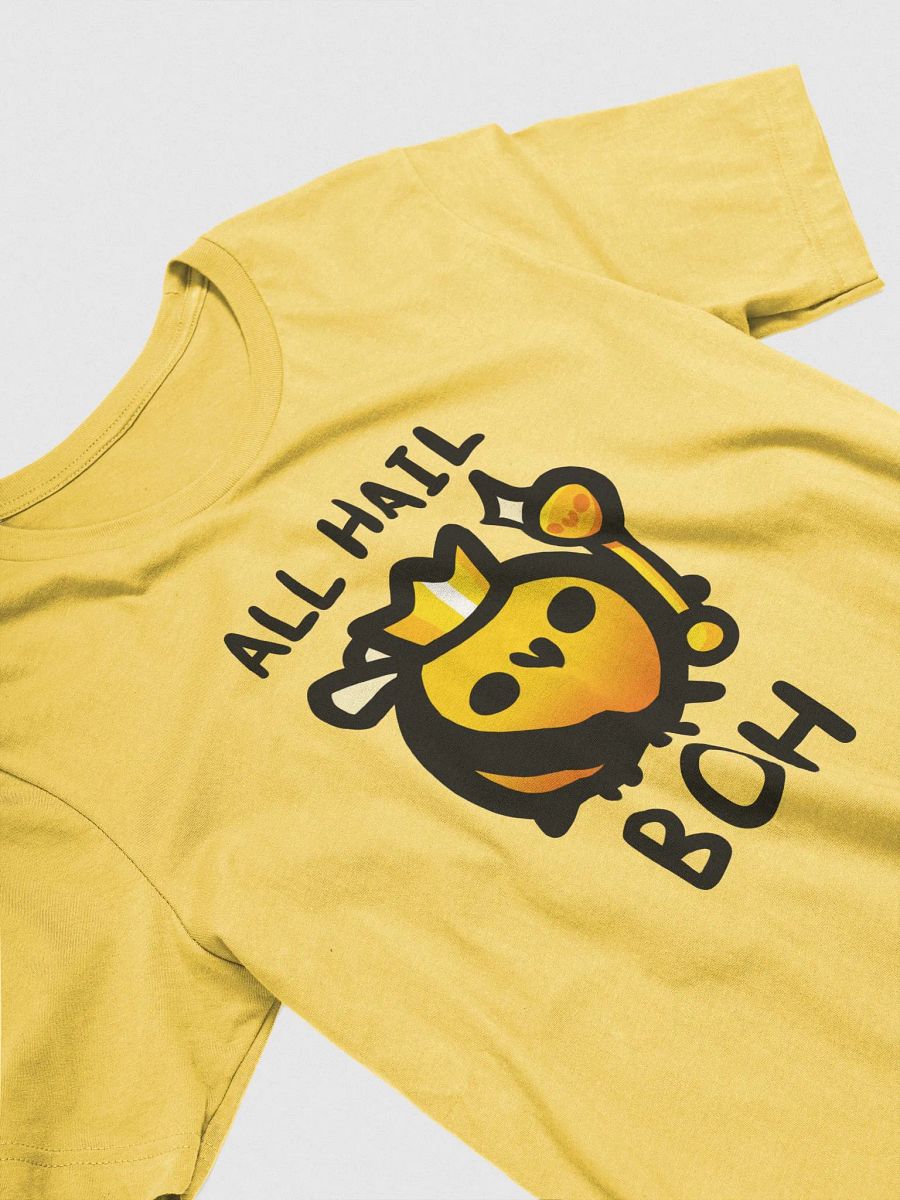 All Hail BOH Shirt product image (28)