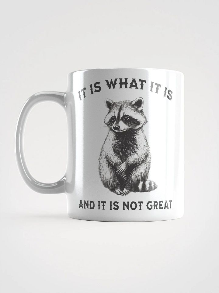 Raccoon It Is What It Is Mug product image (1)