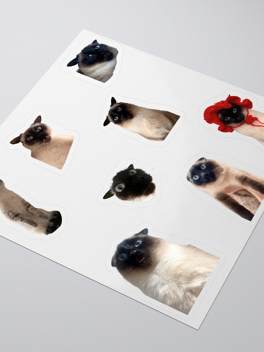Silly Photo Kiss Cut Sticker Sheet product image (3)