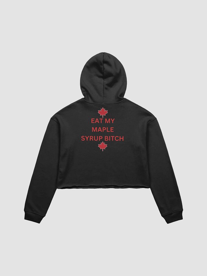 maple syrup product image (2)