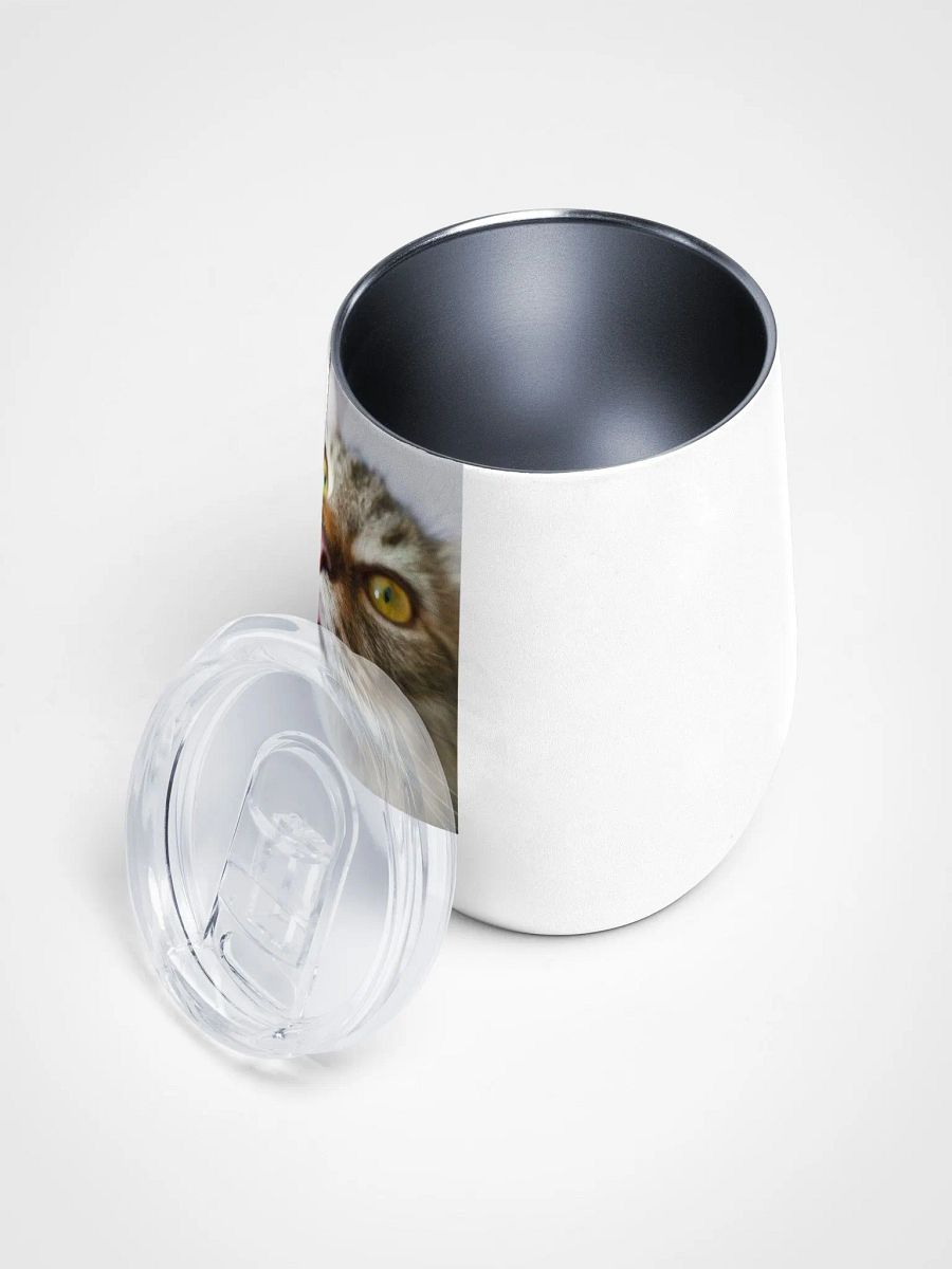 FidgGOON Wine Tumbler product image (3)