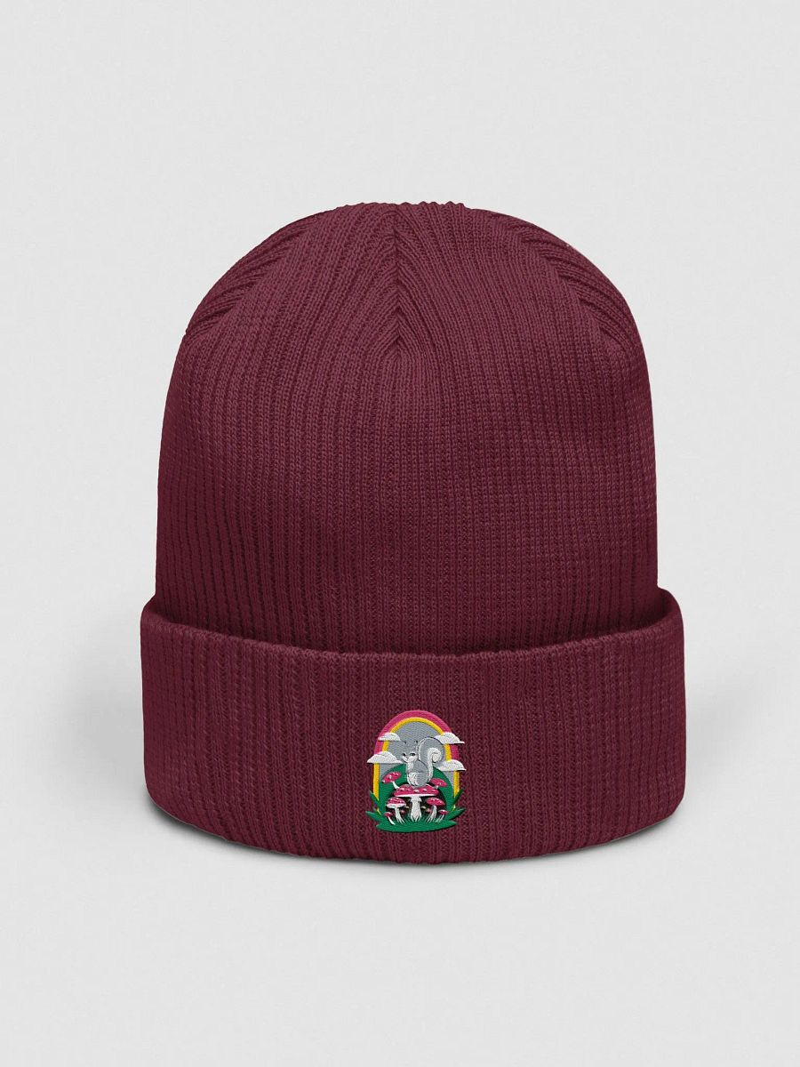 Organic Cotton Embroidered Rainbow Mushroom Squirrel Beanie product image (1)