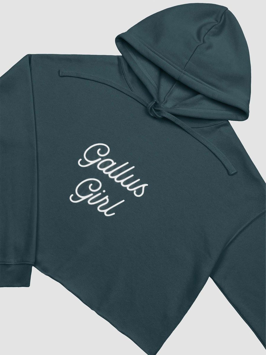 Gallus Ladies Hoodie product image (3)