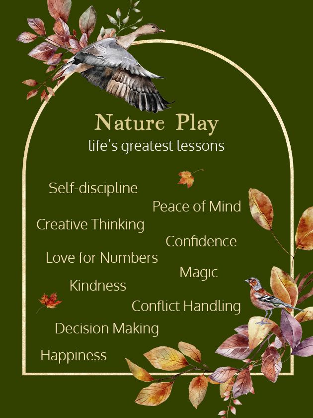 Life's Greatest Skills | Nature Play product image (1)