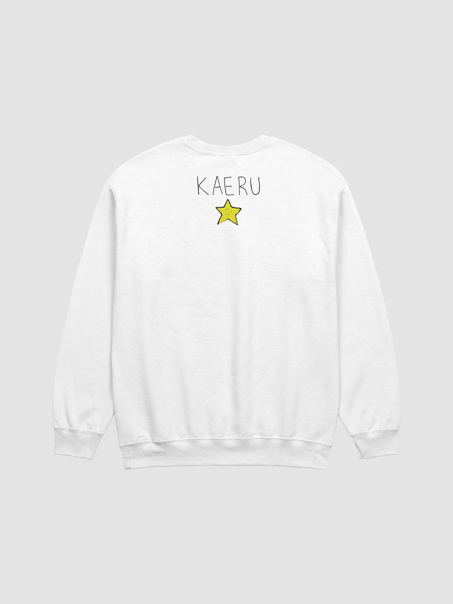 (FROG is going to live now with RAKE) - SECRET SWEATSHIRT product image (2)