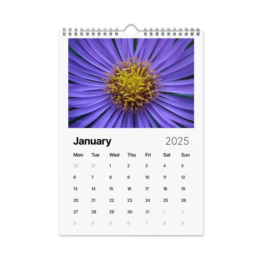 Pure Colors 2025 Wall Calendar product image (2)