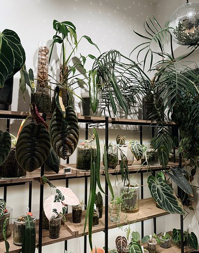 Last week a woman told me I needed to push Archie’s legs to the front of the stroller so “it’s not hanging off the side becau...