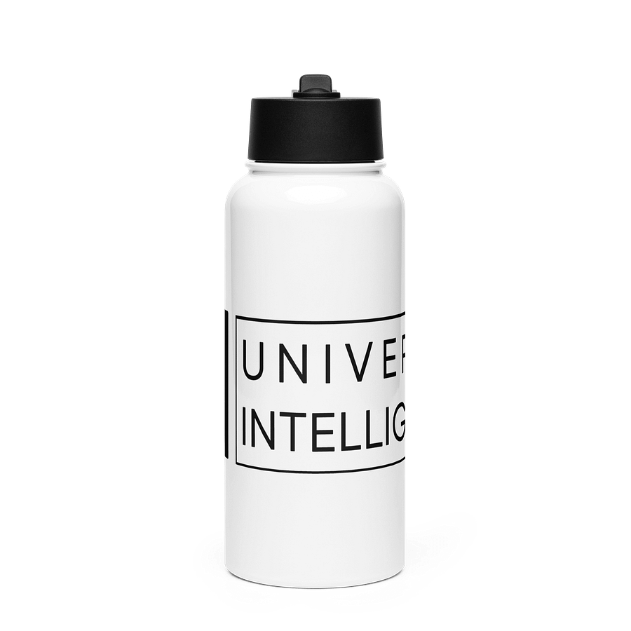 Stainless Steel Water Bottle w/Straw product image (1)