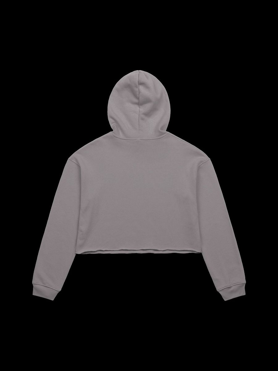 Let's Wrap This Up Coffin Crop Hoodie product image (12)