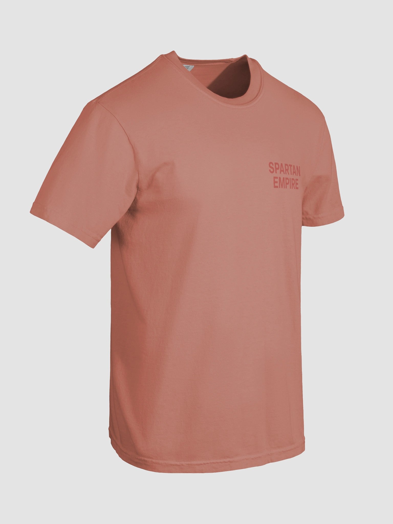 The Empire Tee (Terracotta Berry) product image (8)