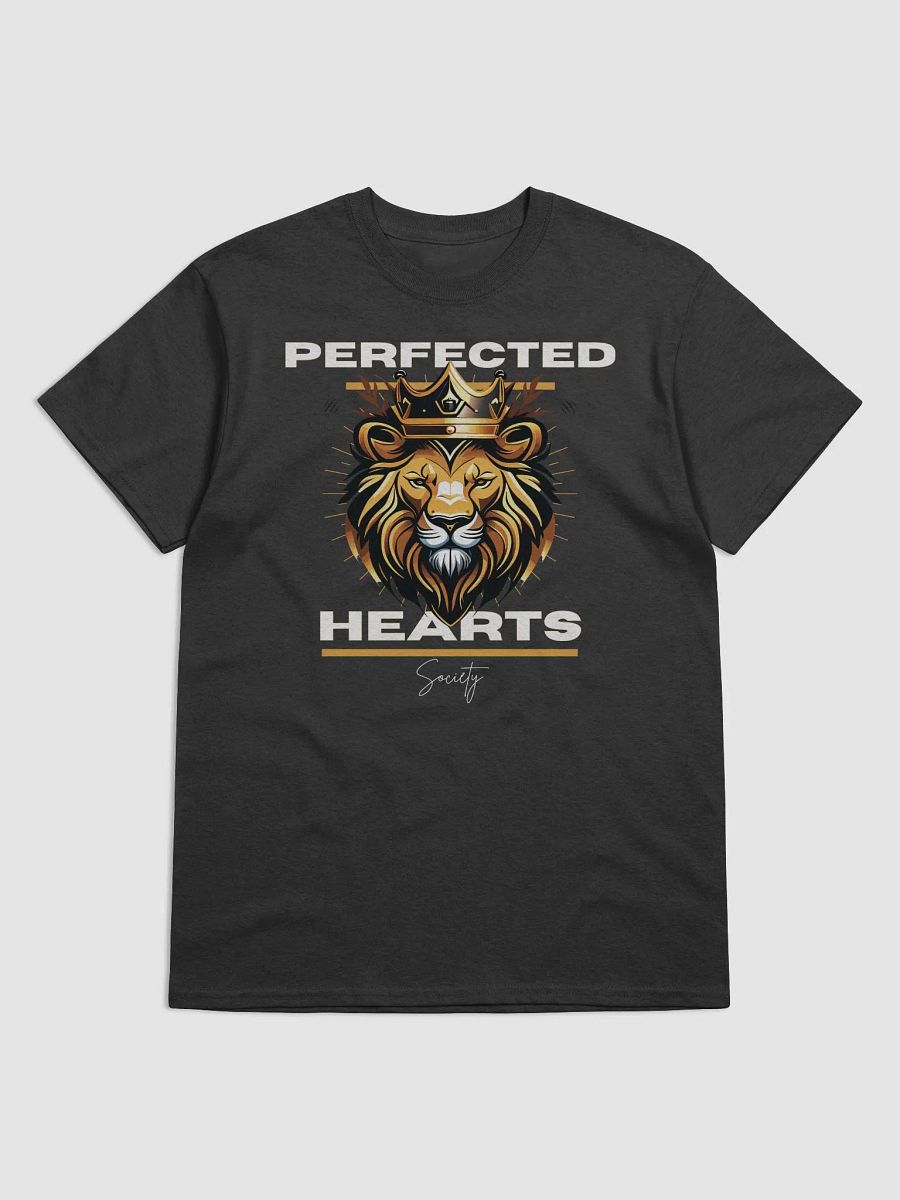 PHS Lion Head #007 product image (1)