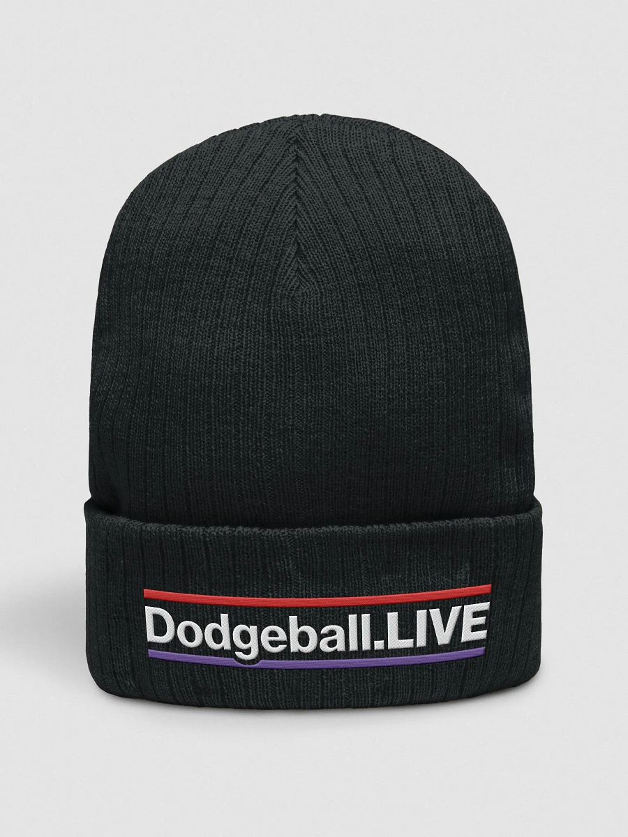 Dodgeball.LIVE HZ Knitted Toque (Light) product image (1)