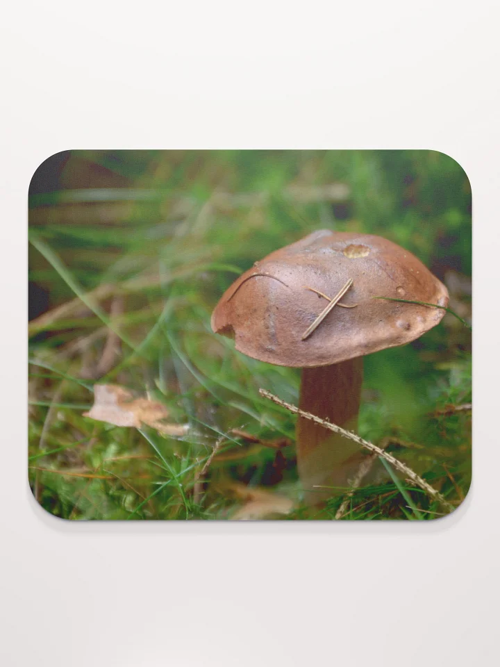 Mauspad - Pilz im Moos product image (2)