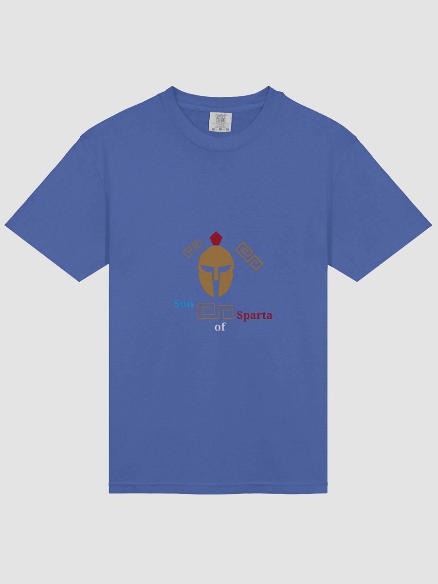 Spartan Crest Comfort Tee product image (3)